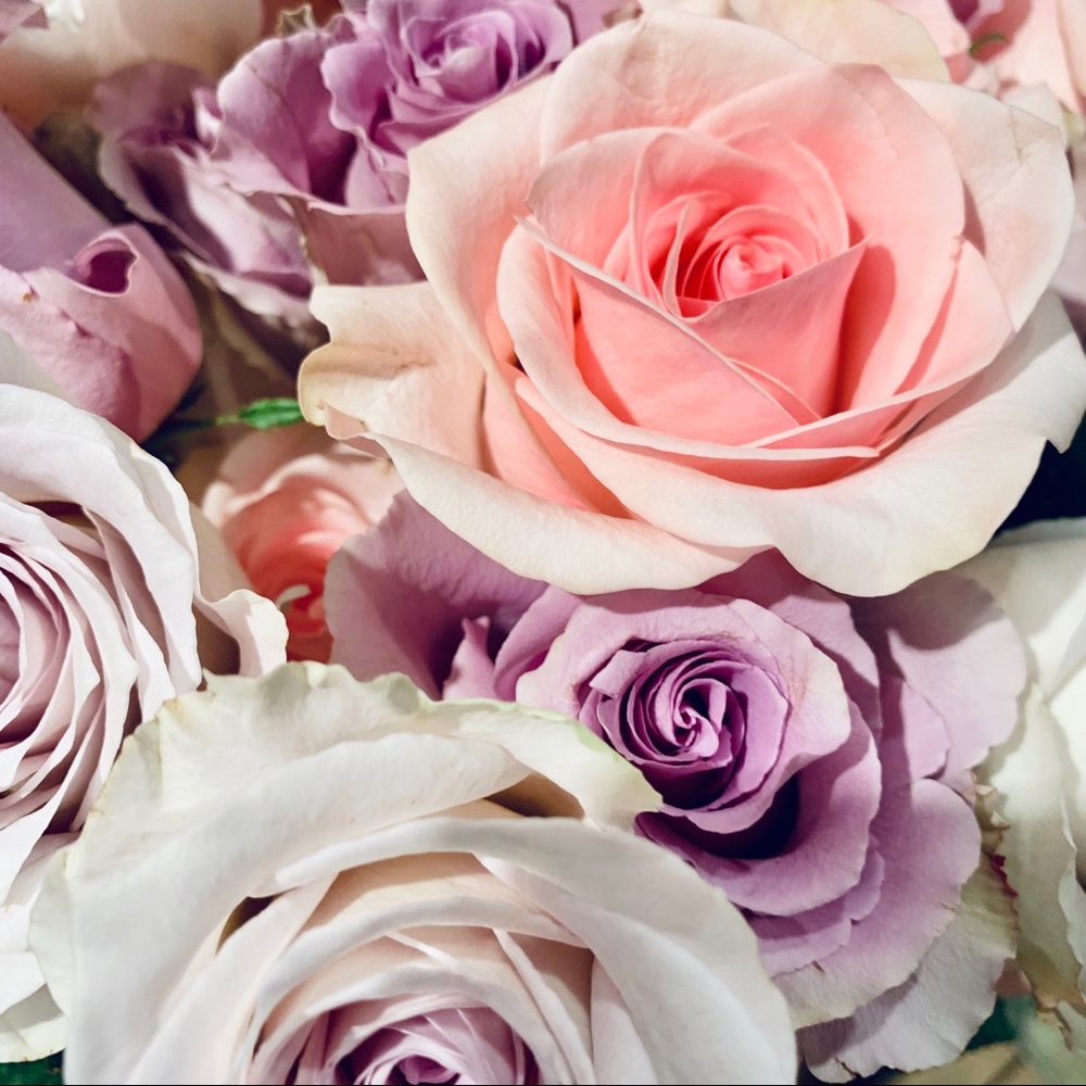 Everything must go!!!